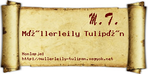 Müllerleily Tulipán névjegykártya